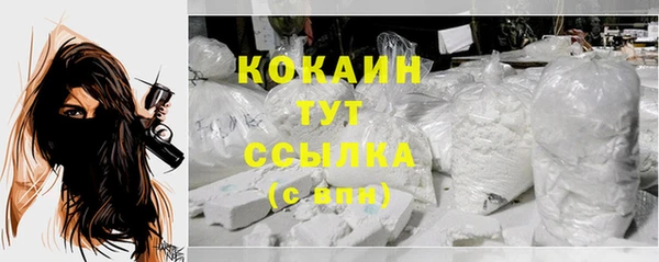 мдпв Михайловск