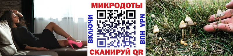 Галлюциногенные грибы мицелий  даркнет сайт  Пучеж 